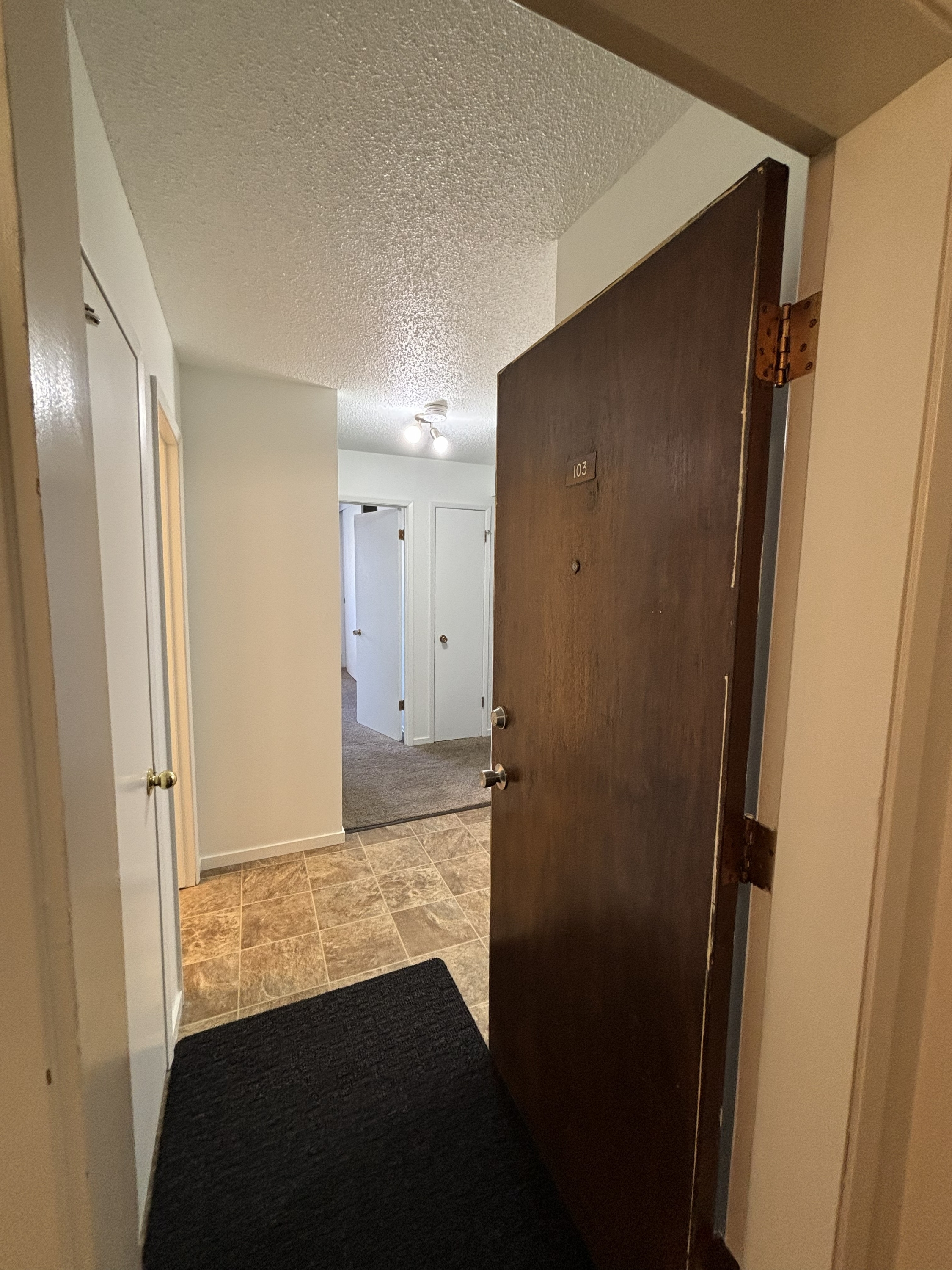 #103, 3607 118 Ave NW